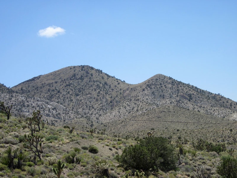 On the west side of Ivanpah Road, I can see roads leading up the hillsides in the Slaughterhouse Spring area