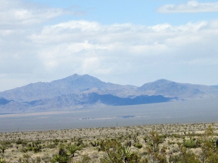 Down there in the middle of Ivanpah Valley is a homestead