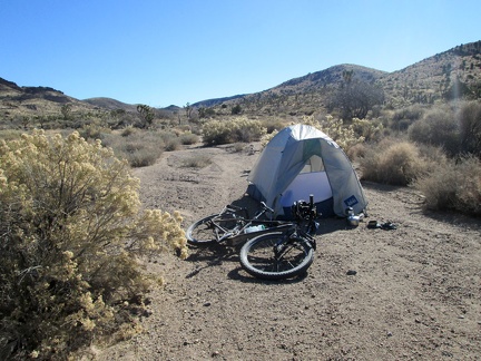 It was cold overnight, but I wake up to one last beautiful desert morning in Mojave National Preserve