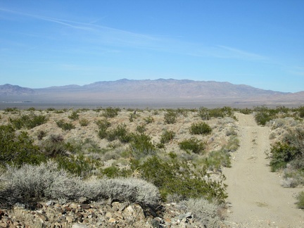 Back on a dirt road (Nipton-Moore Road): straight ahead are the McCullough Mountains; I wish I had time to head up there today