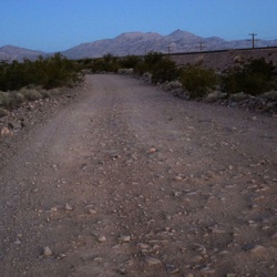 Day 8: Ivanpah Rd to Nipton and then Primm the next morning