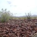 A substantial can dump on the outskirts of Nipton