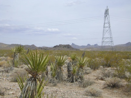 I reach the power lines about a half mile before Black Palisades