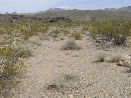 I stumble across a faint trace of an old road that passes by the west edge of Black Palisades