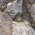 A nearby alcove in the rocks at Black Palisades harbours nesting materials rather than a tinaja