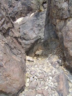 A nearby alcove in the rocks at Black Palisades harbours nesting materials rather than a tinaja