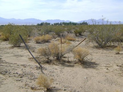 I'm almost back at Nipton when my direct route is foiled by this weak barbed-wire fence, but it's easy to get past