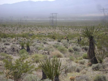 Now the dust trails from the dirt bikes are soaring across the Ivanpah Valley below