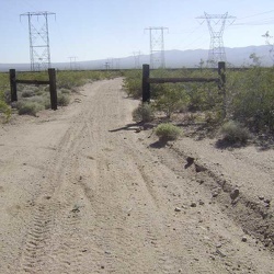 Day 9: Day ride from Nipton to Nevada State line and power-line road, Mojave National Preserve