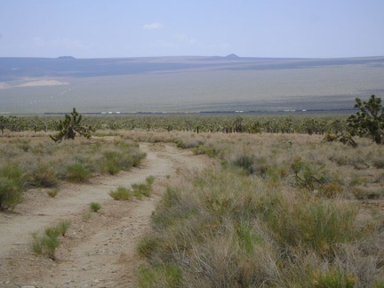 A mile up Death Valley Mine Road, I stop at Thomas Place for a Clif-bar-and-water break like I did yesterday