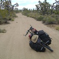 After my break at Thomas Place, I get back on Death Valley Mine Road and ride north through the joshua tree forest