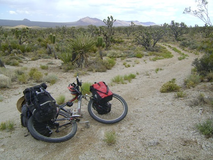 I've ridden Death Valley Mine Road a couple of times on previous Mojave National Preserve trips, and I always enjoy this one