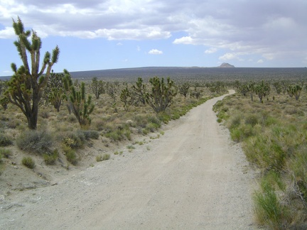 After a pleasant five miles on Death Valley Road, it ends, and I turn west on Cima Road, with Cima Dome and Kessler Peak ahead