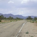 I depart Cima and ride down Morning Star Mine Road, one of Mojave National Preserve's main, high-speed, paved roads