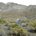 A cool morning at Pachalka Spring, Mojave National Preserve, with Clark Mountain Range in the background