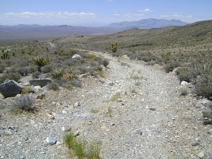 I get my backpack together and begin hiking down the north side of Pachalka Spring Road, which I haven't seen yet