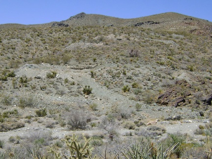 Pachalka Spring Road drops into this wash, beyond which I see two tailings piles