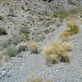 What's left of the old road is slowly starting to slide down the hill and return to nature