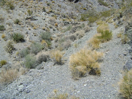 What's left of the old road is slowly starting to slide down the hill and return to nature