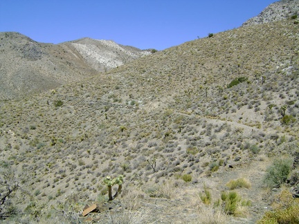 Standing in the middle of the old road just beyond the pass at 5050 feet, the next segment of the road reveals itself