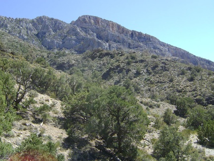 I keep walking up the unnamed canyon on the north side of the Clark Mountain Range