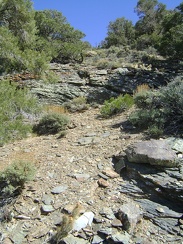 The canyon climbs over more rocks and seems to be heading toward a plateau above with open sunshine