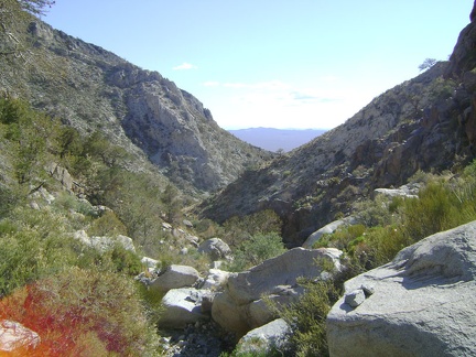 The cactus, rock, yucca and brush obstructions in the canyon are mostly easy to get around