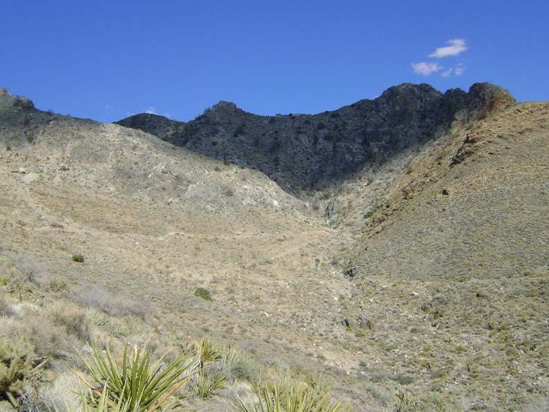 On the way down to Pachalka Spring Road, I see a faint road rising up a steep hill toward an old mining area