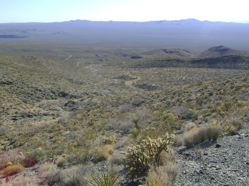 I leave the old road and hike down in the wash for about 3/4 mile before catching up with the road back up to Pachalka Spring