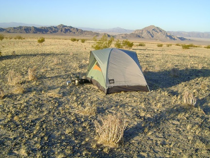 Early morning on the east side of Mojave National Preserve's Devil's Playground, with Cowhole Mountain in the background