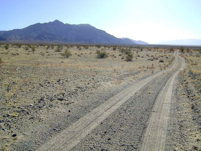 Shortly after 9h, an unusually early hour for me, I'm hiking south on Old Kelso Road toward Old Dad Mountain