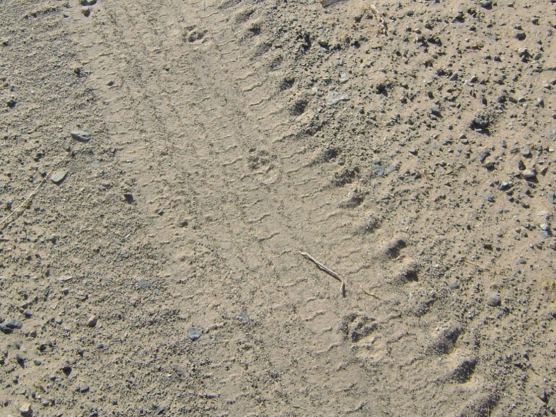 06286-footprints.jpg