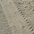 Footprints on Old Kelso Road, Devil's Playground, Mojave National Preserve