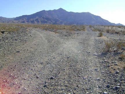 After a 3/4 mile walk down Old Kelso Road, I turn left at the junction to head up the fan and into Old Dad Canyon