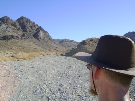 About 1.25 miles up the fan, the road enters Old Dad Canyon