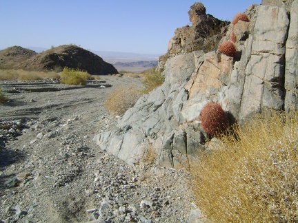 Barrel cacti grow in the rocks at the entrance to Old Dad Canyon