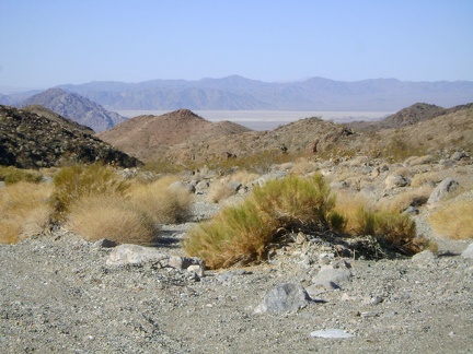 Great views from the entrance to Old Dad Canyon back down to flat (and usually dry) Soda Lake in the distance