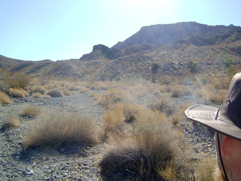 After the cabin area, Old Dad Canyon widens while it continues to rise