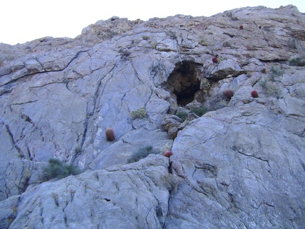 Up the steep rock hillside above Old Dad Canyon are scattered numerous small caves