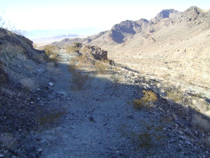 Getting closer back to the mouth of Old Dad Canyon, I walk up the hillside, following a grown-in former road