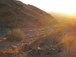 A wash of gold light greets me as I exit the mouth of Idora Mine Canyon