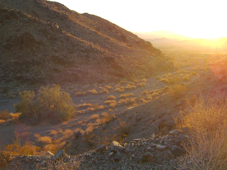 A wash of gold light greets me as I exit the mouth of Idora Mine Canyon