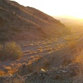 A wash of gold light greets me as I exit the mouth of Idora Mine Canyon