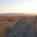 Pinkish light flows over the Devil's Playground at sunset