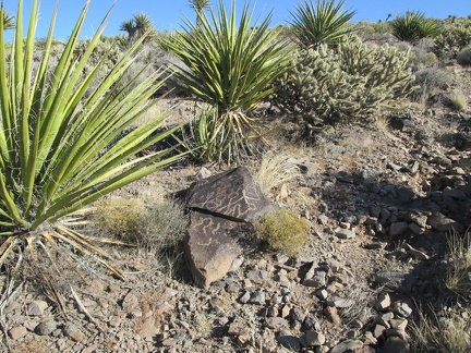 On my way up the hill, I pass by this engraved rock