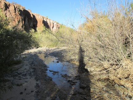 It's fun to explore randomly, but I'm also here to fetch more drinking water