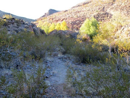 I don't find any of the old road, but I do find parts of a trail here in Piute Canyon