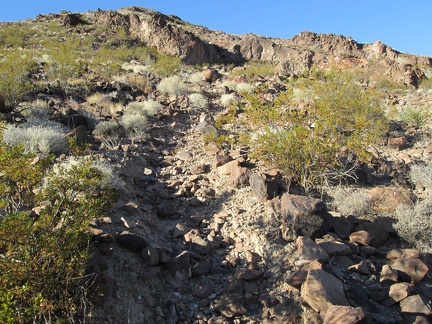 I follow the trail a short distance up a hill, but this is headed away from the stream that I want to follow