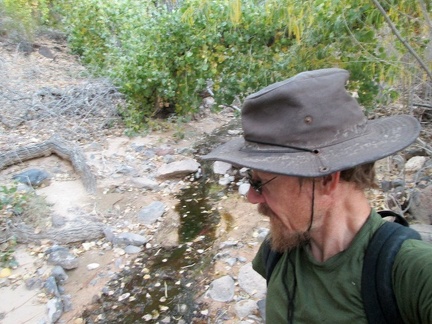 My water bag is 3/4 full now, so it's time to leave the quiet babbling brook and walk back up the hill to my campsite