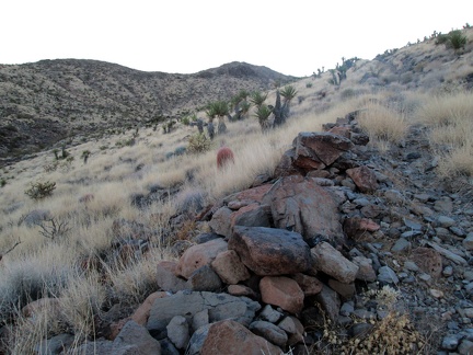 Another view of the Old Government Road roadbed